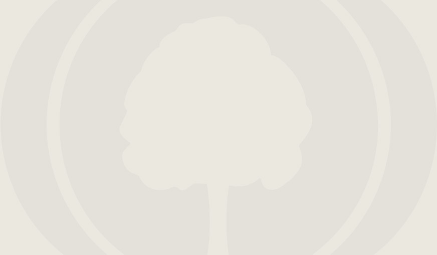 Olennaiset tiedot: Kuinka löydät synnyin-, avioliitto- & kuolintietoja