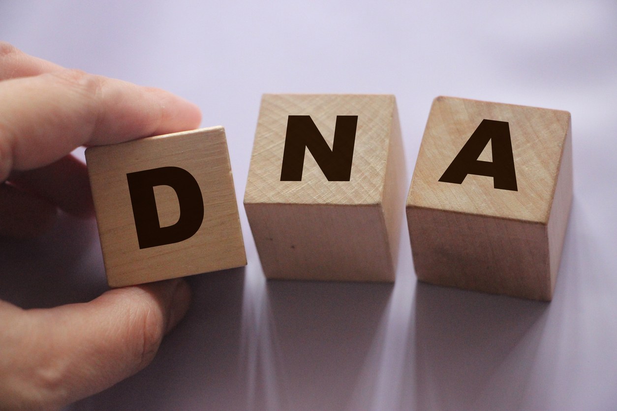 Sukututkimussanasto: Yleisimpien DNA-termien selitykset